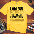 " I AM NOT RETIRED I'M PROFESSIONAL GRANDAD" T-Shirt