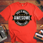 "This is what awesome looks like" T-Shirt